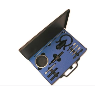 SYKES ENG TIMING KIT-PEUGEOT/CITROEN - 11 PC