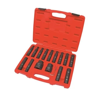 TOLEDO INSERT BIT SOCKET SET 16PC