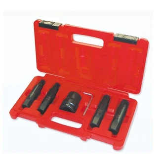 TOLEDO INSERT BIT SOCKET SET 6 PT 6PC