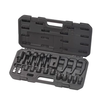 TOLEDO INJECTOR PULLER ADAPTOR SET 21PC