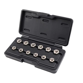 TOLEDO DIESEL INJECTOR CAP NUT SET 12PC