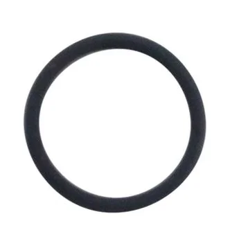 196935 O-RING:VITON .625 X .070