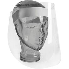 Disposable Clear Faceshield