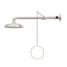 Stainless Steel Wall Mounted safety shower