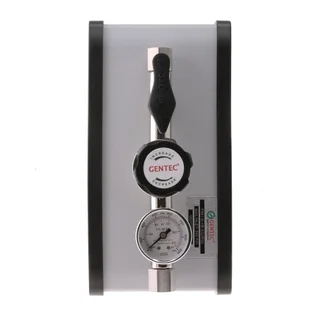 Gentec Single Outlet Panel, 6.0 Purity Chrome Plated, In: 4,000kPa Out: 1,000kPa