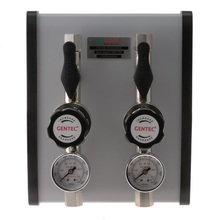 Gentec Twin Outlet Panel, 6.0 Purity Chrome Plated, In: 4,000kPa Out: 1,000kPa