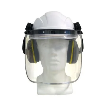 Vented hard hat with Clear Visor and Rockman Earmuffs