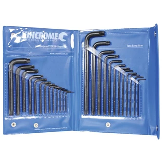 25PCE T'PROOF & TORX SET