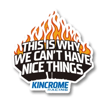 CANT HAVE NICE THINGS STICKER