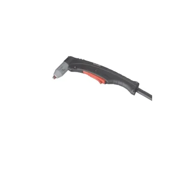 1 Torch SL100 with 6M lead