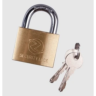 Raptor Brass Security Padlock
