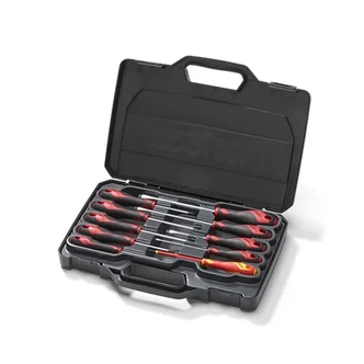 TENG 10PCE MD TT-MV+ FL-PH-PZ SCREWDRIVER SET