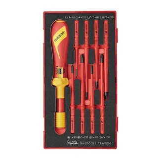 TENG 9PCE 1000V VDE TORQUE SCREWDRIVER SET - TC-TRAY (EVA)