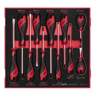 TENG 11PCE MD SCREWDRIVER SET - TED-TRAY