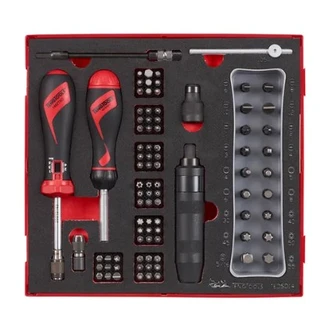 TENG 95PCE TORQUE SCREWDRIVER SET 1-5NM (EVA) - TED-TRAY