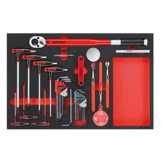 TENG 17PCE TORQUE WRENCH HEX/TX & INSP TOOL SET (EVA)