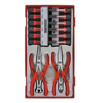TENG 16PCE MINI PLIER & SCREWDRIVER SET - TC-TRAY