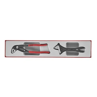 TENG 2PCE PLIER/ADJUSTABLE WRENCH SET - TTX-TRAY