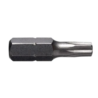 Torx TX40 x 25mm Insert Bit (10PK)