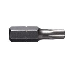 Torx  Tamper Proof Insert Bit