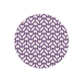 3M Xtract™ Cubitron™ II Net Disc 710W, 6 in x NH, Die 600Z, 300 ea/Case