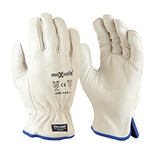 Maxisafe Antarctic Extreme Thinsulate lined (Pk 12 )